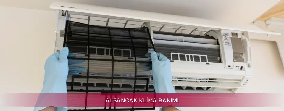 Alsancak İlçemi LG Klima Bakımı